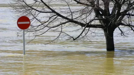 Трассы 60-х не выдержат: в "КазАвтоЖоле" назвали зоны риска затопления