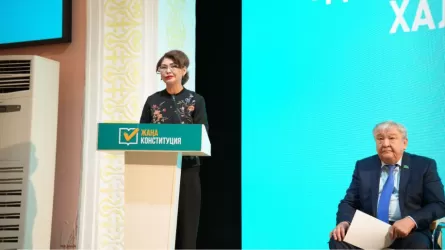 Аида Балаева: президенту не нужна суперпрезидентская власть  