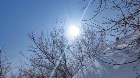 Антициклон принес тепло и солнце в Казахстан, но в Алматы и Шымкенте будет дождь 