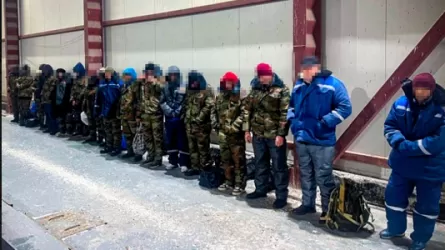 Пограничники пресекли контрабанду на миллиарды и задержали нелегальных мигрантов 