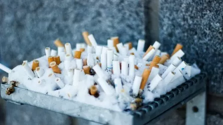 Во что превращаются окурки спустя многие годы 