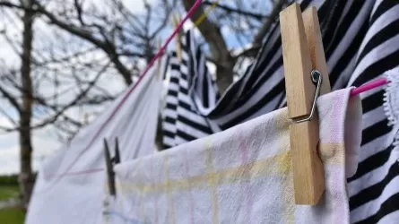 Как часто нужно стирать шторы на самом деле? 