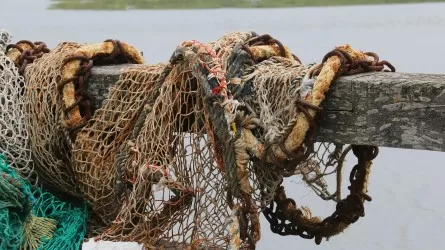 Дроны и техника против браконьеров в Атырауской области 