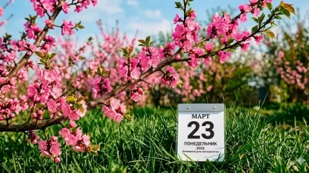 23 марта отмечается Всемирный день метеорологии