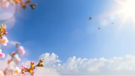  Погоду в Астане, Алматы и Шымкенте представили синоптики