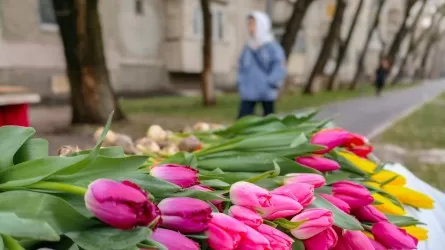 Война против Ирана повлияла на стоимость цветов в Казахстане