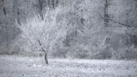 Зима не отступает: регионы Казахстана накроют метели и гололед 