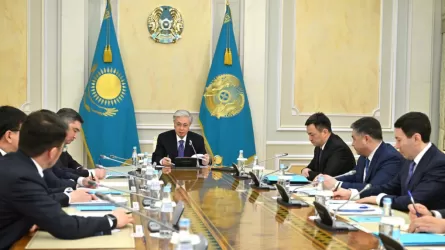 Цифровизация и бюрократия &laquo;несовместимы&raquo; как &laquo;лед и пламень&raquo; - Токаев 