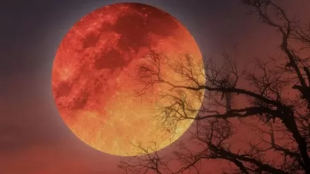 Луна червя, или кровавая, появится на небе 3 марта 2026: что это значит 