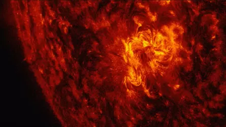 На Солнце впервые за 2 месяца произошла вспышка высшего балла   