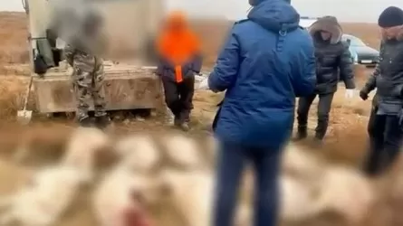 Полиция поймала браконьеров с большим кушем краснокнижной добычи