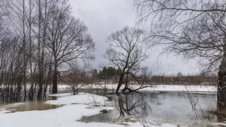  Паводок в Костанайской области: вскрывают дороги и спасают села