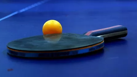 Казахстанские теннисисты выступят в Берлине 