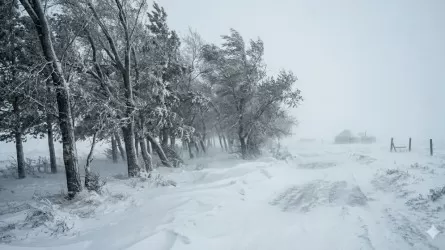 Снежный капкан и гололед: в первый день весны объявлено штормовое предупреждение