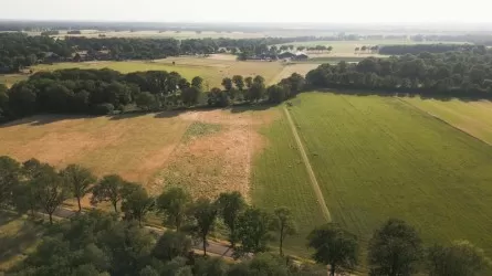 Самозахват земель в Казахстане: наказан замакима города 