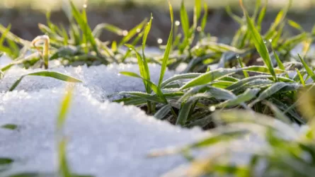 Где-то в Казахстане будет тепло и сухо, а где-то будут грозы и дожди  