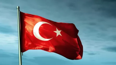 Турция приветствовала проведение конституционного референдума в Казахстане 