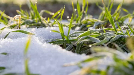 Какая погода будет в Казахстане 26-28 марта