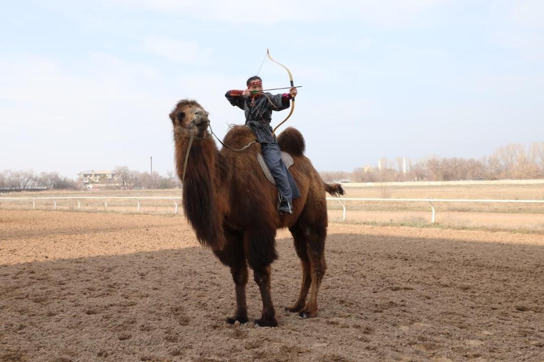 Алматыда түйе үстіндегі қыз 10 секундта 4 нысана көздеп, әлемдік рекорд орнатты