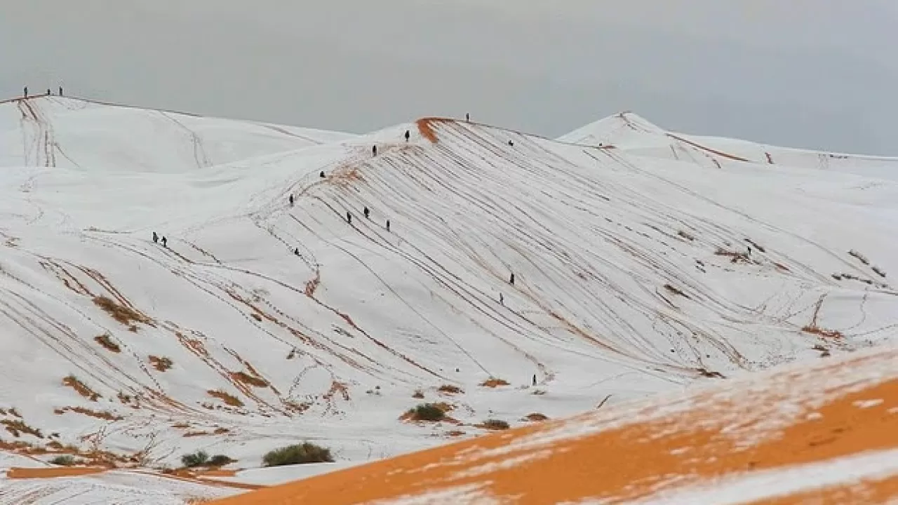 Редкое зрелище: песчаные дюны Cахары накрыл снег 