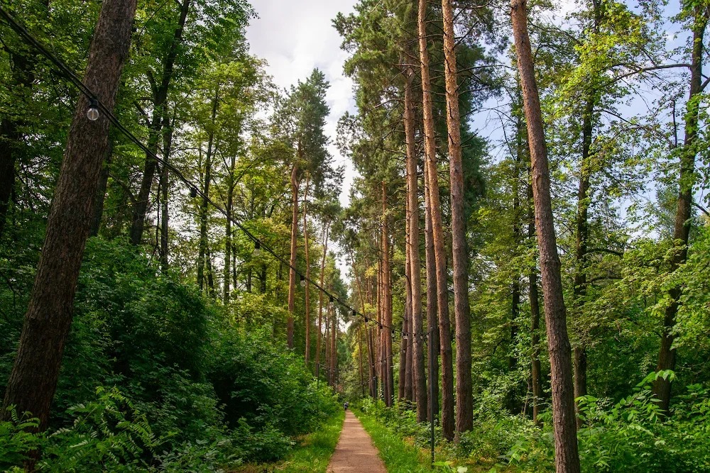 Алматының ботаникалық бағы 1 сәуірден бастап жаңа жұмыс кестесіне ауысады