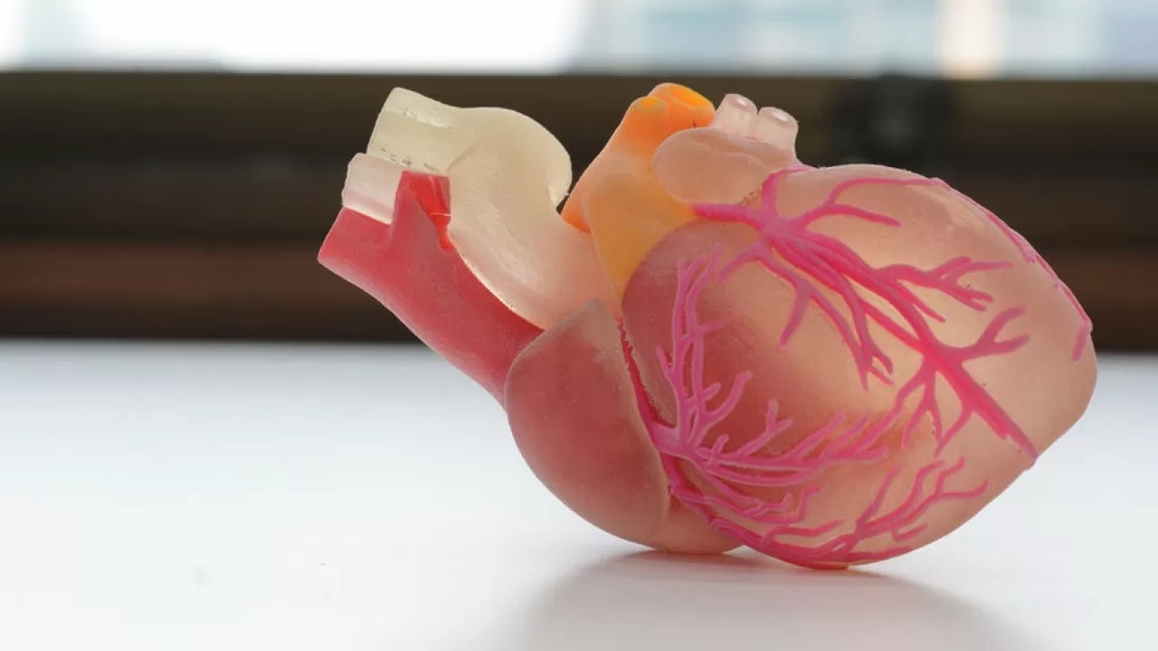 Врач предупредила казахстанцев о скрытых признаках больного сердца 