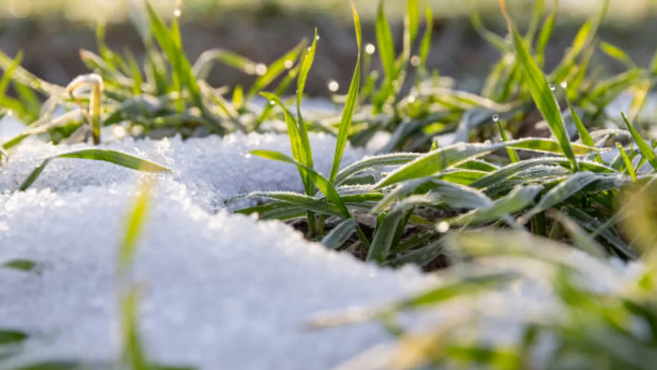 Какая погода будет в Казахстане 26-28 марта