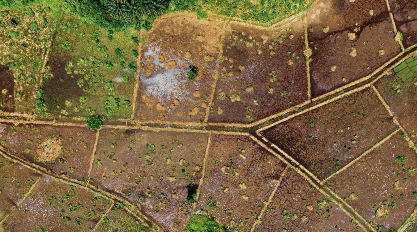 Степногорскте 1 500 гектардан астам жер учаскелері мемлекет меншігіне қайтарылды