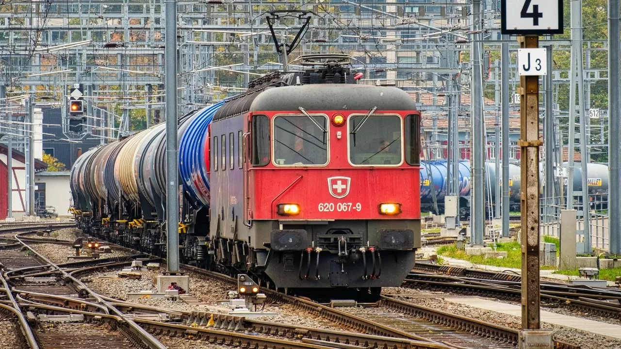 В РК раскрыли крупный канал контрабанды биоресурсов 