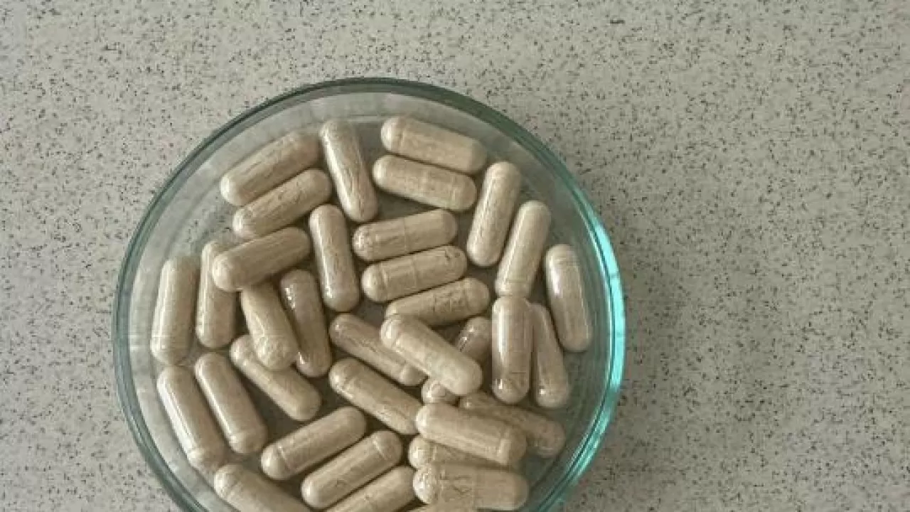 Казахстанские ученые создают БАД против диабета