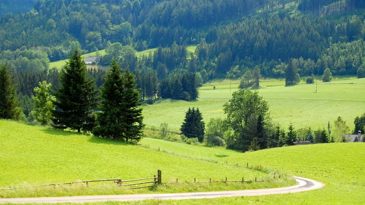 Ученые разрушили миф о росте лесов в горах  