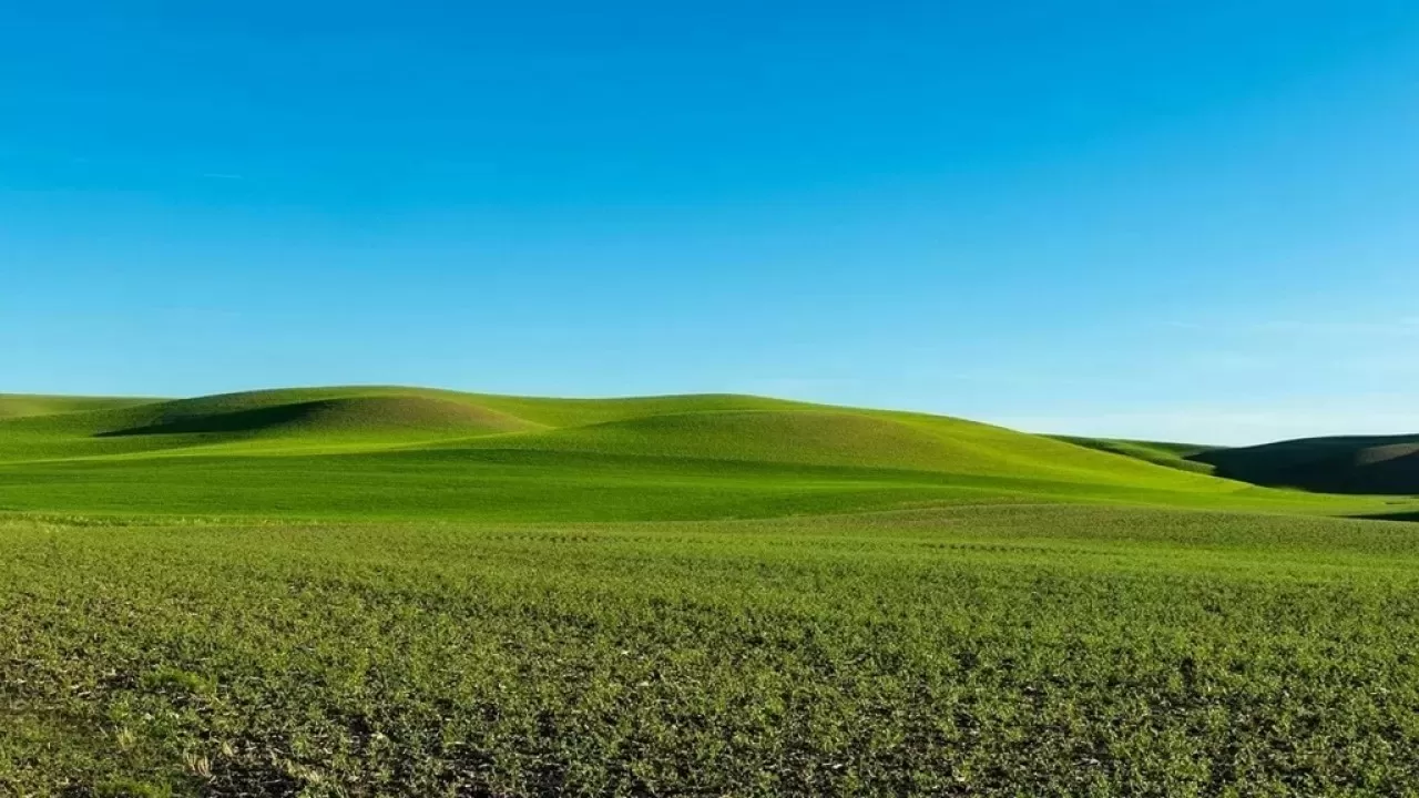 Схема с землей в Каратау сорвалась: участок вернули в госсобственность