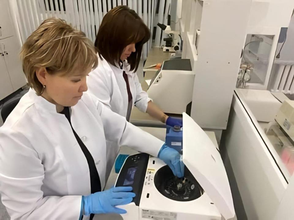 Казахстанские ученые создали устойчивые к засухе сорта зерновых 