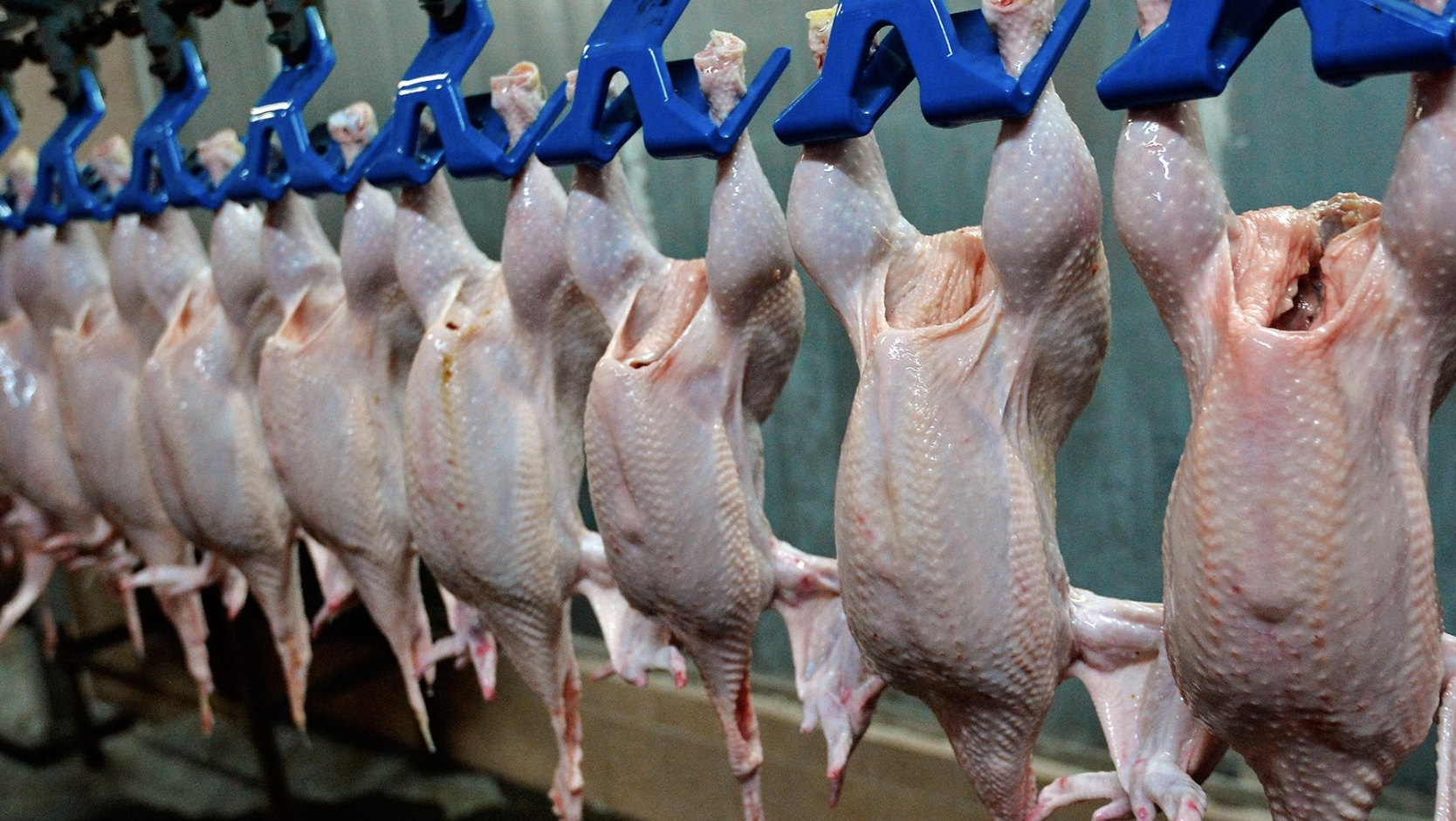 Қазақстанға сиыр еті мен құс етін әкелуге квоталар бөлінді