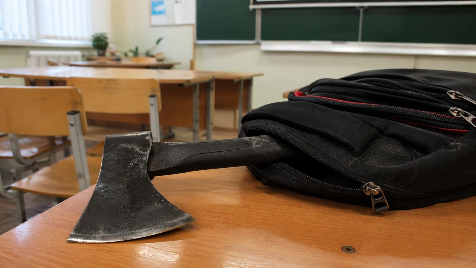 Алматыда интернеттен тапсырма алған оқушы қыз мектепке балтамен барды