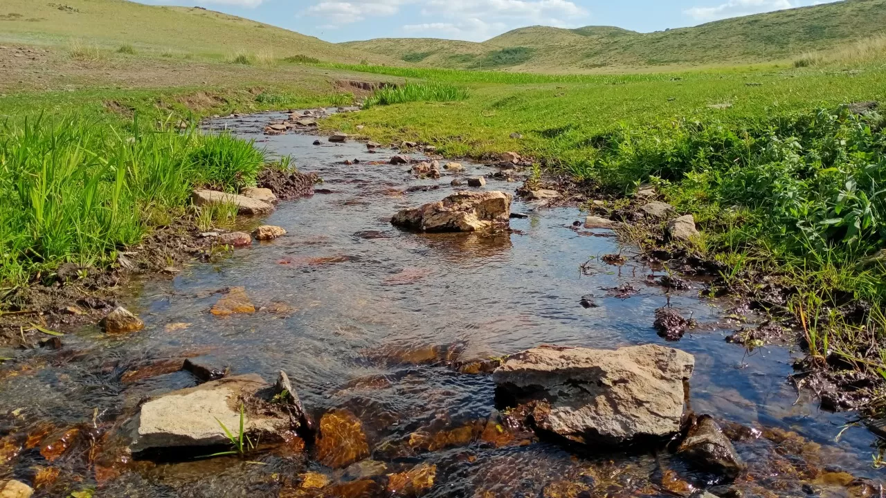 Тысячи казахстанцев вышли на уборку родников  