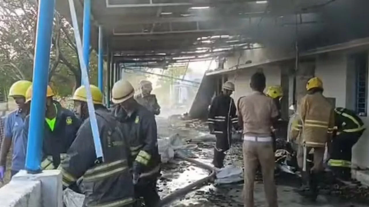 Не менее 25 человек погибли из-за взрыва на фабрике фейерверков в Индии