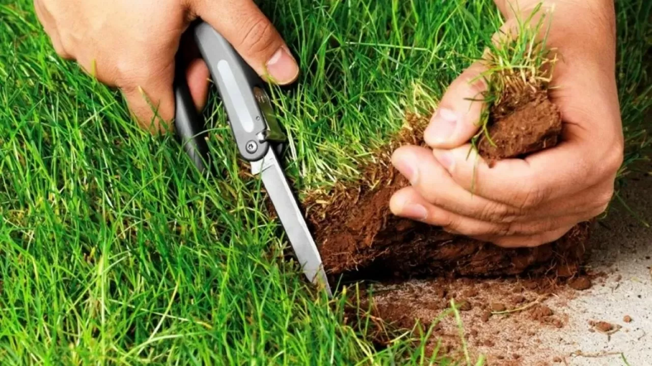 Земля для инвестора &ldquo;зависла&rdquo; у акимата