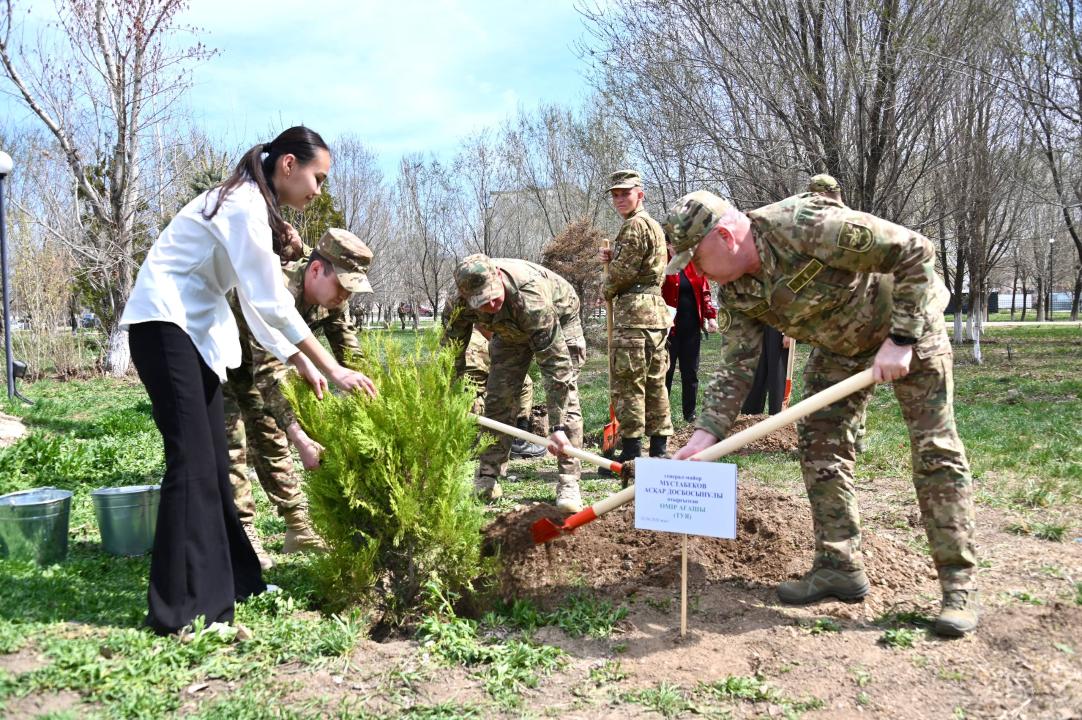 Гвардейск гарнизонында 500 түп ағаш егіледі
