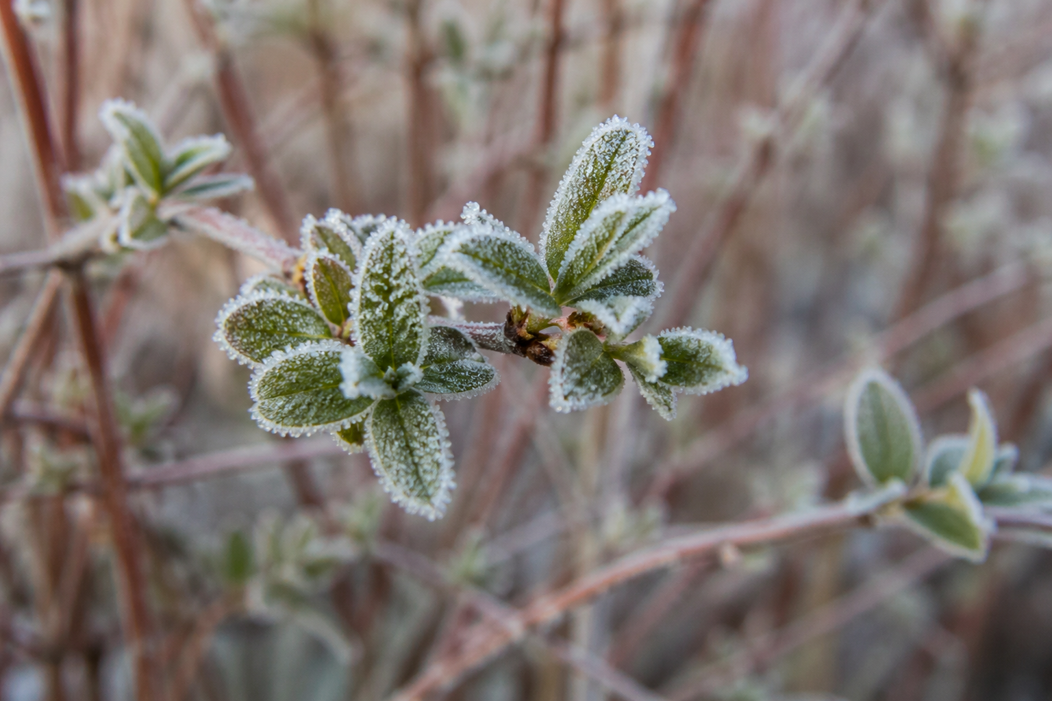 Казахстан ждут дожди, грозы и ночные заморозки