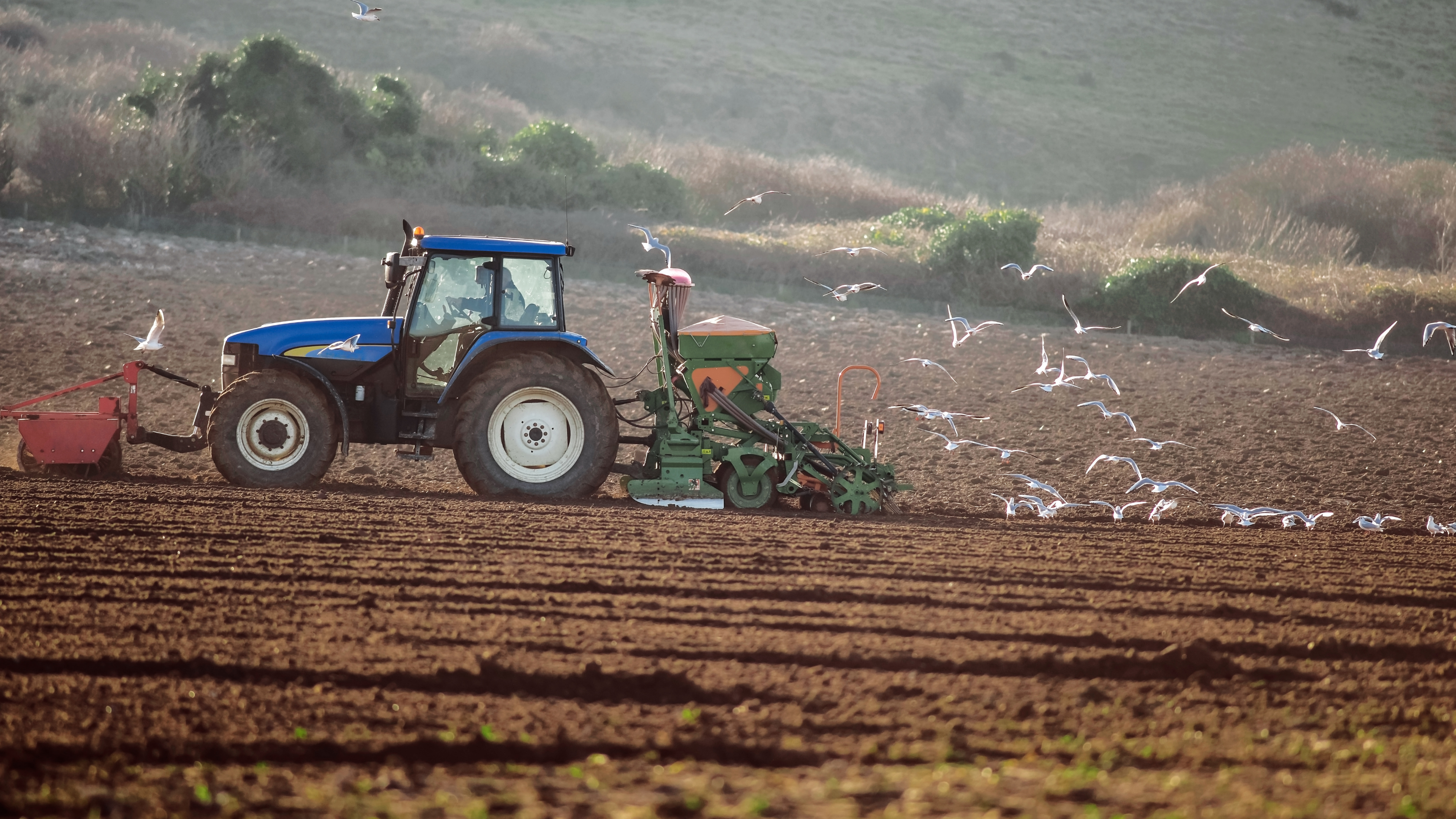 Диқандардың жоспары аяқ асты өзгеріп жатыр