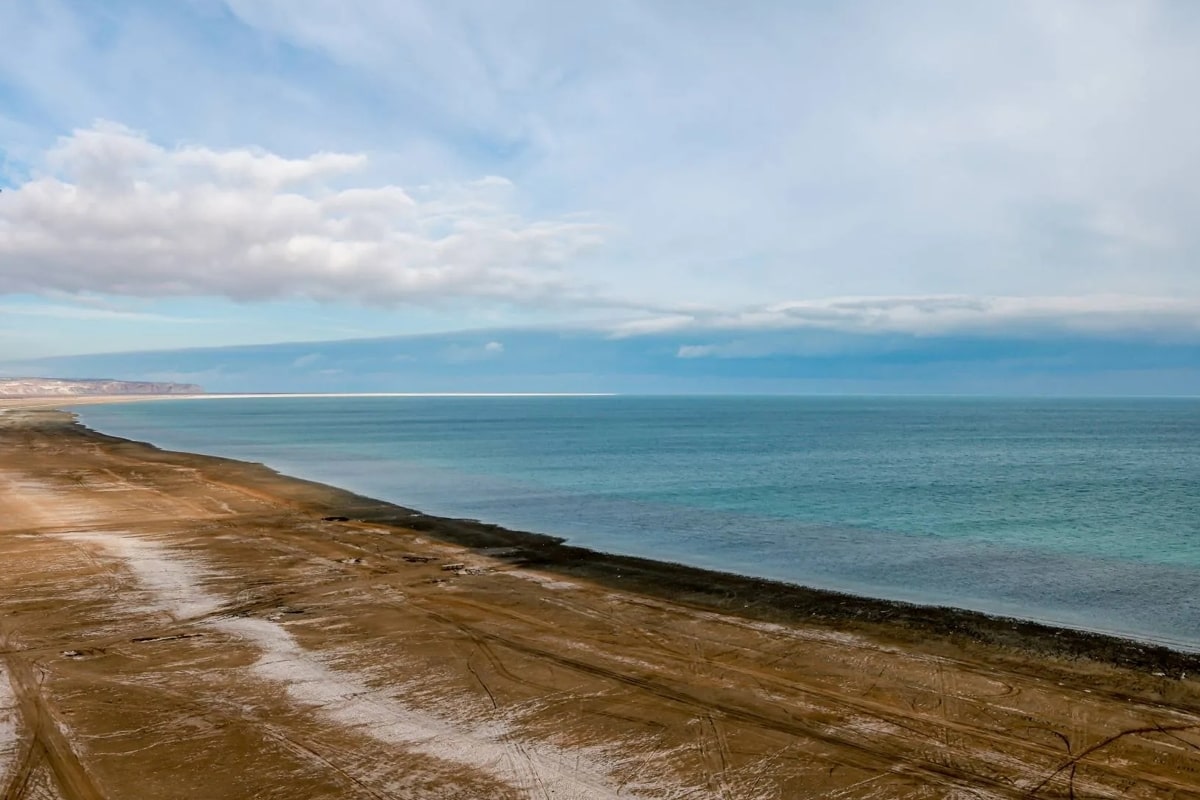Арал теңізі салғырттықтың салдары қандай қасіретке әкеліп соғатынын еске салып тұрады &ndash; Мемлекет басшысы