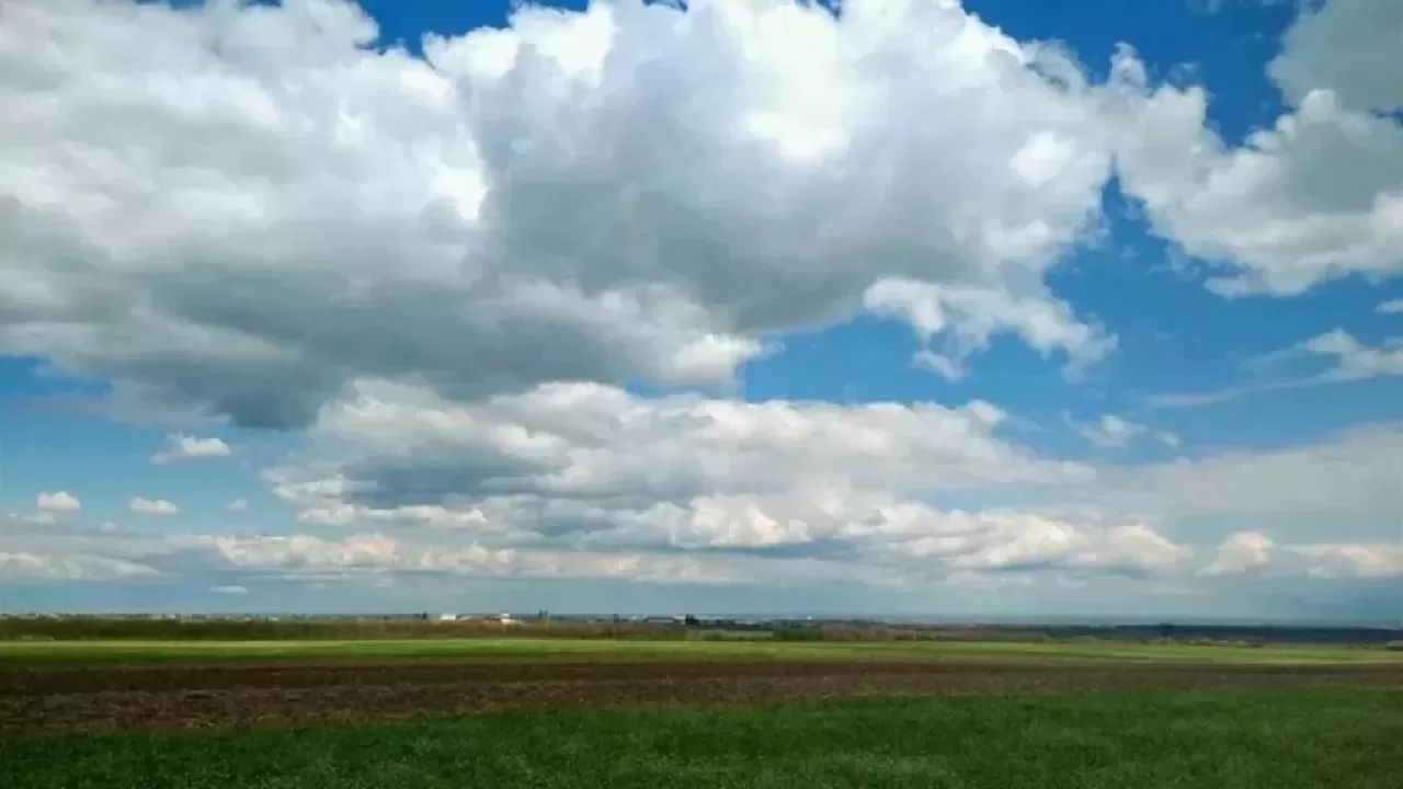 На севере Казахстана десятки сельхозземель лежат мертвым грузом 