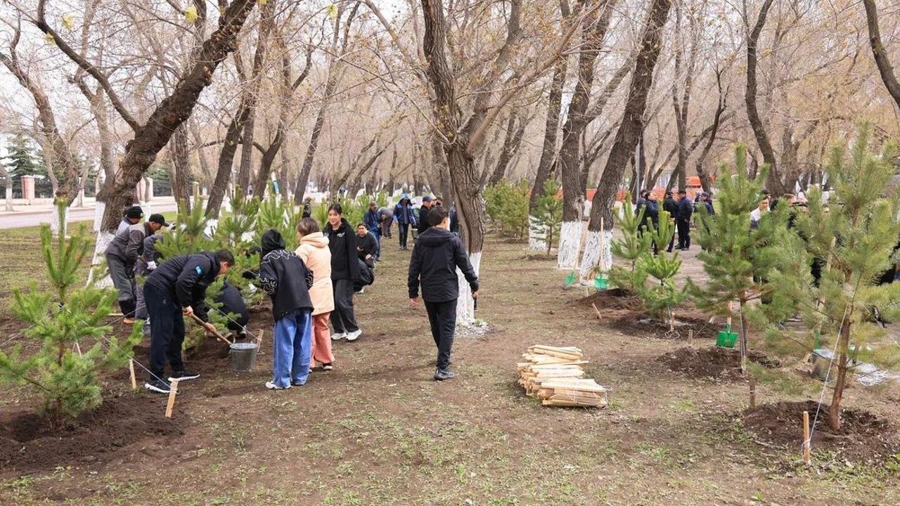 Қарағандыда бір күнде 400 ағаш отырғызылды