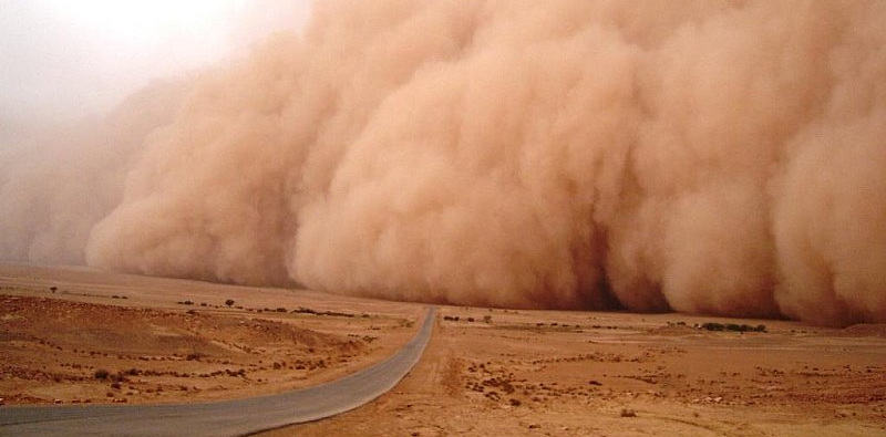 Қазақстанда неліктен шаңды және құмды дауылдар жиілеп кеткені белгілі болды 