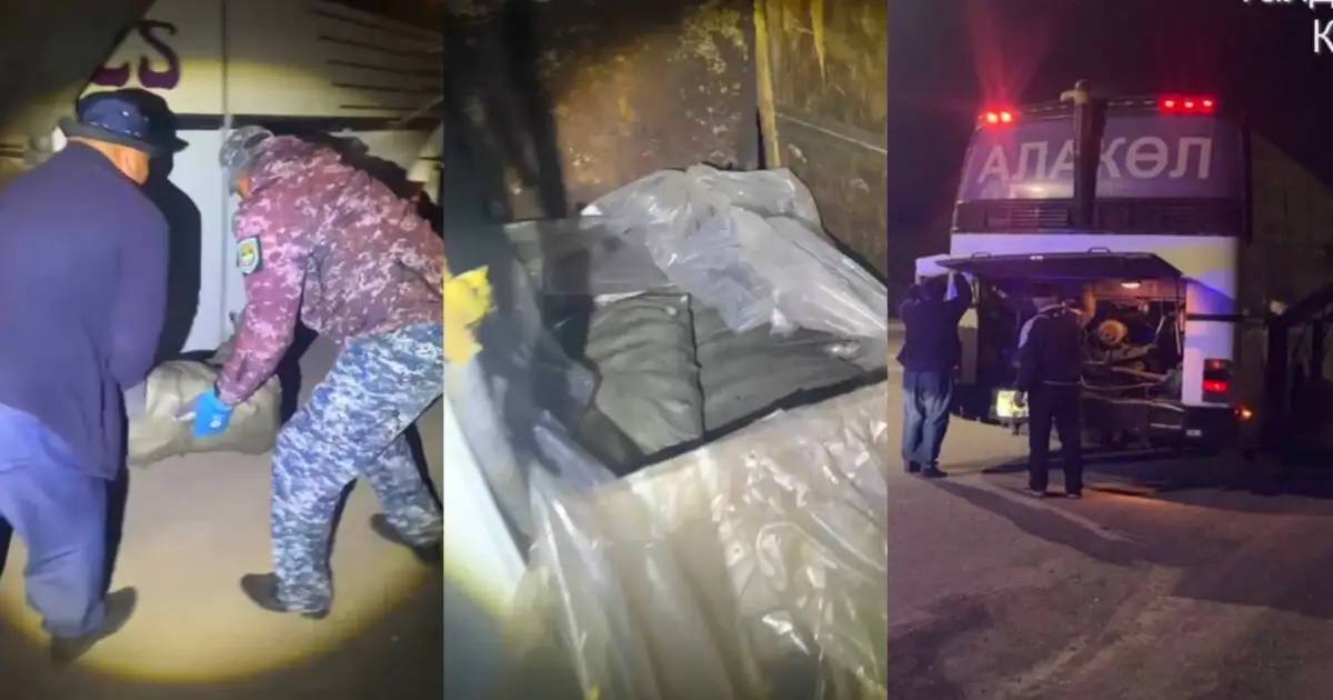 Жетісу облысында 4 қап балық аулаған зейнеткер ұсталды