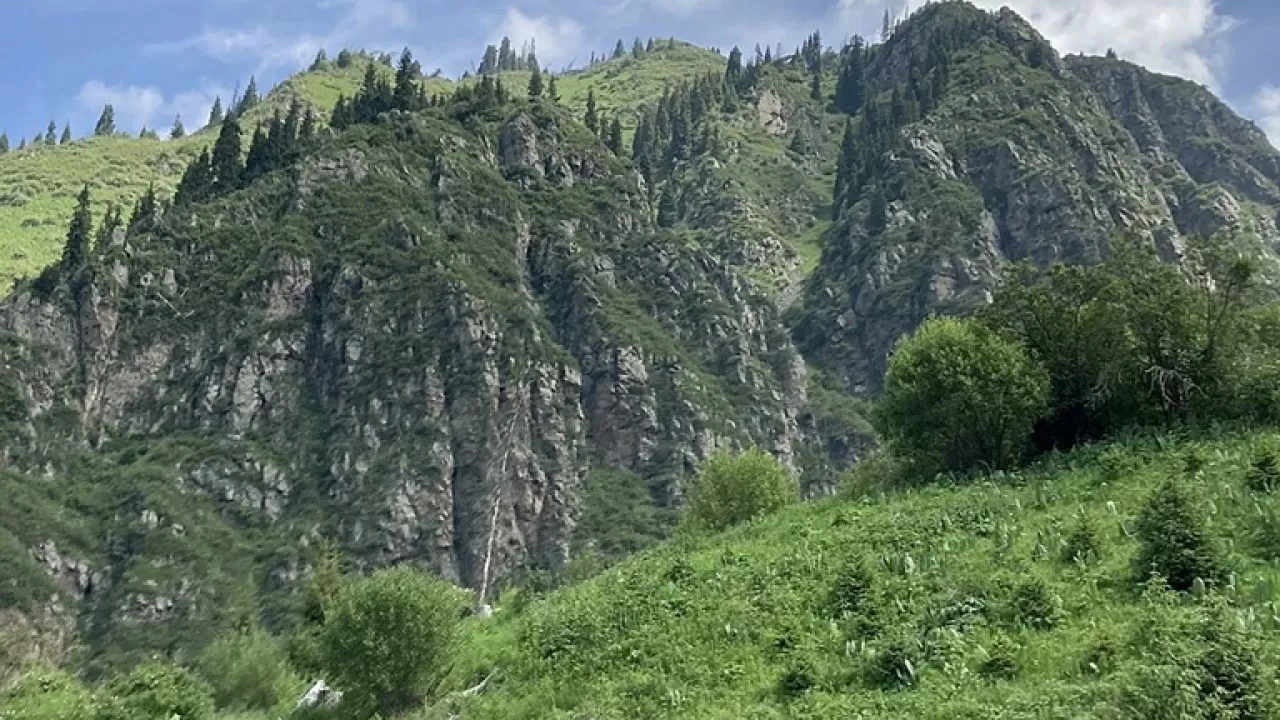 Государство вернуло себе сотни гектаров земли у "Медеу" 