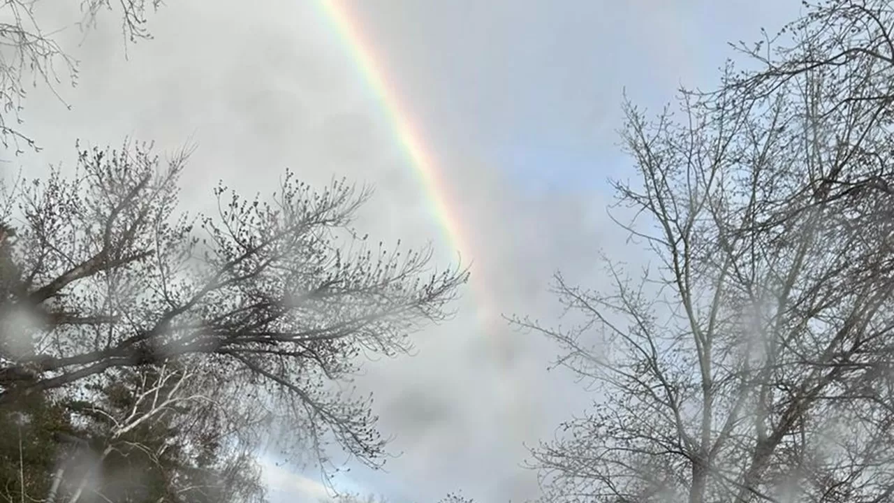 В Казахстане начался бесқонақ 
