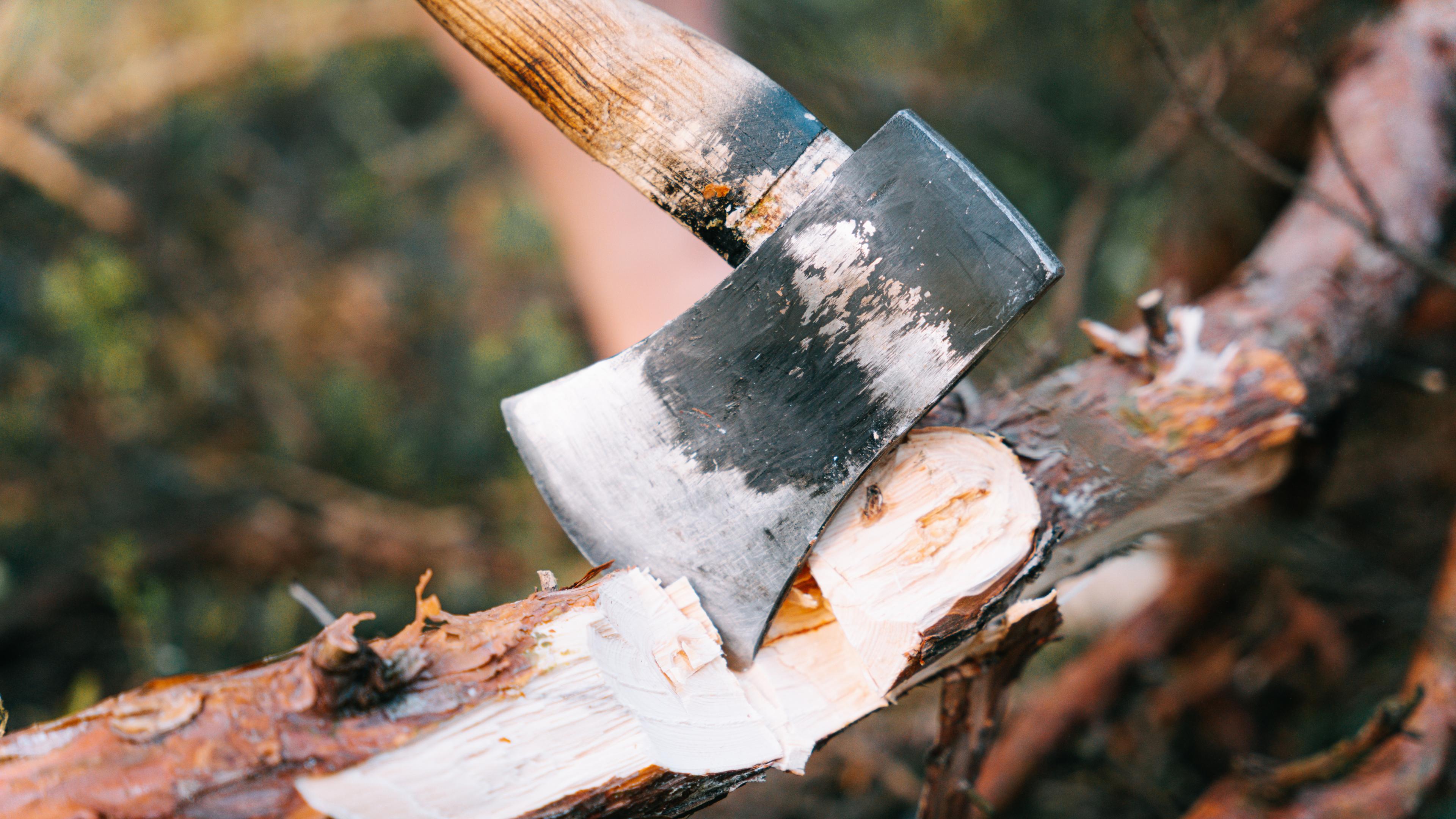 Бұрын да адам өлтірген әйел танысын балталап, түк болмағандай жұмысқа барған