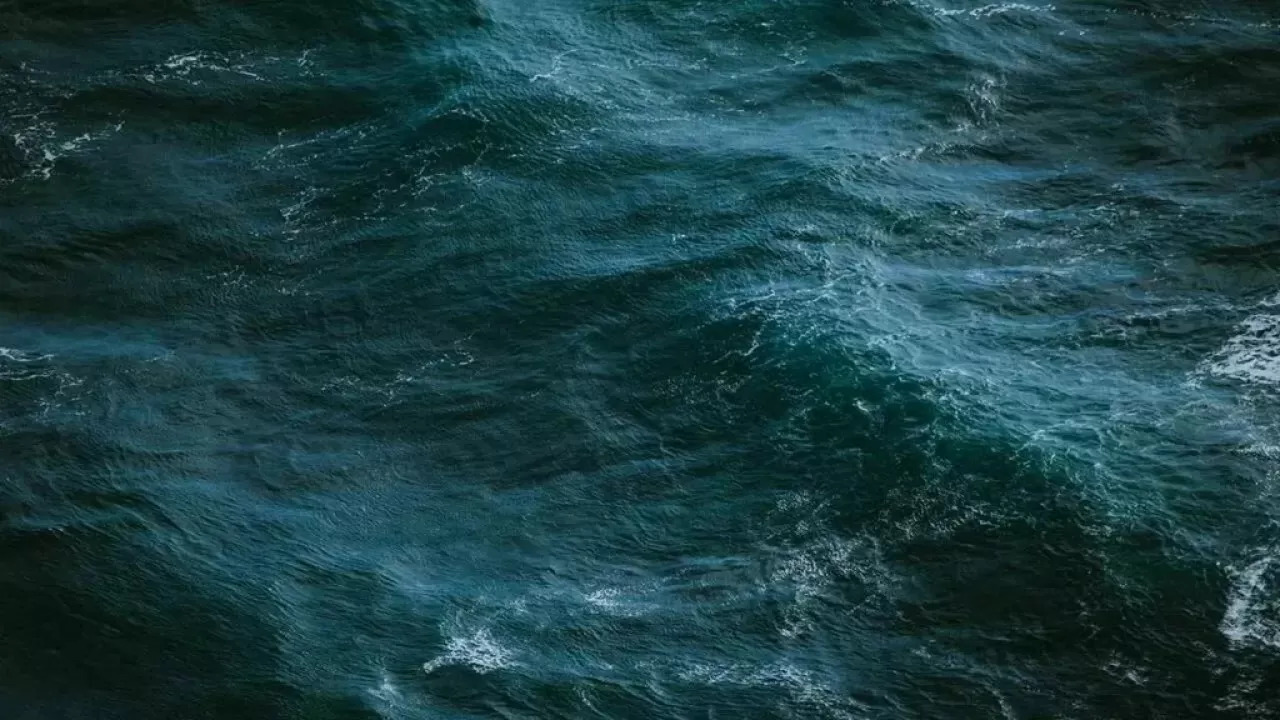 Крушение в Азовском море: у берегов Херсонской области затонул сухогруз с пшеницей